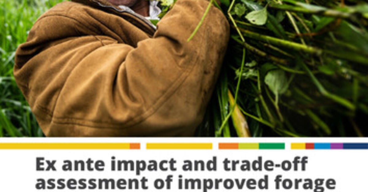 Ex ante impact and tradeoff assessment of improved forage use in western Kenya